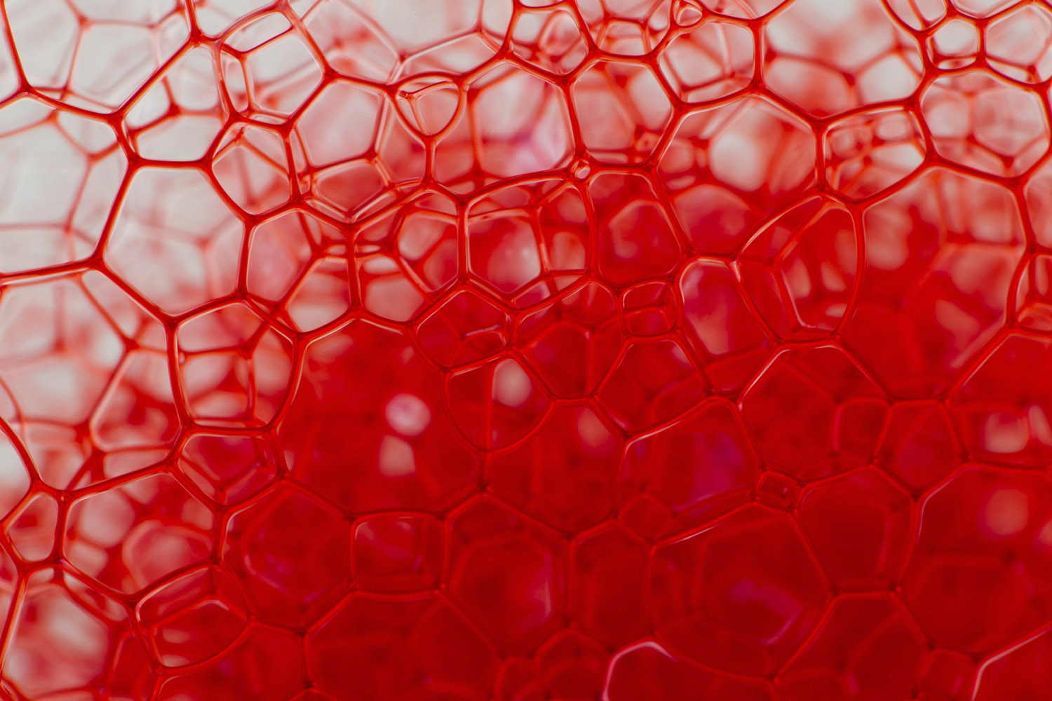 Hero Image Cardiovascular care